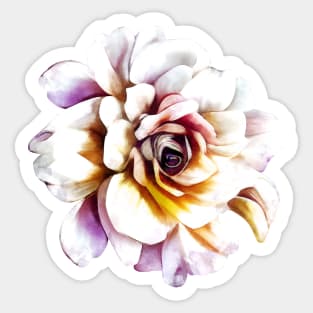 White Rose Sticker